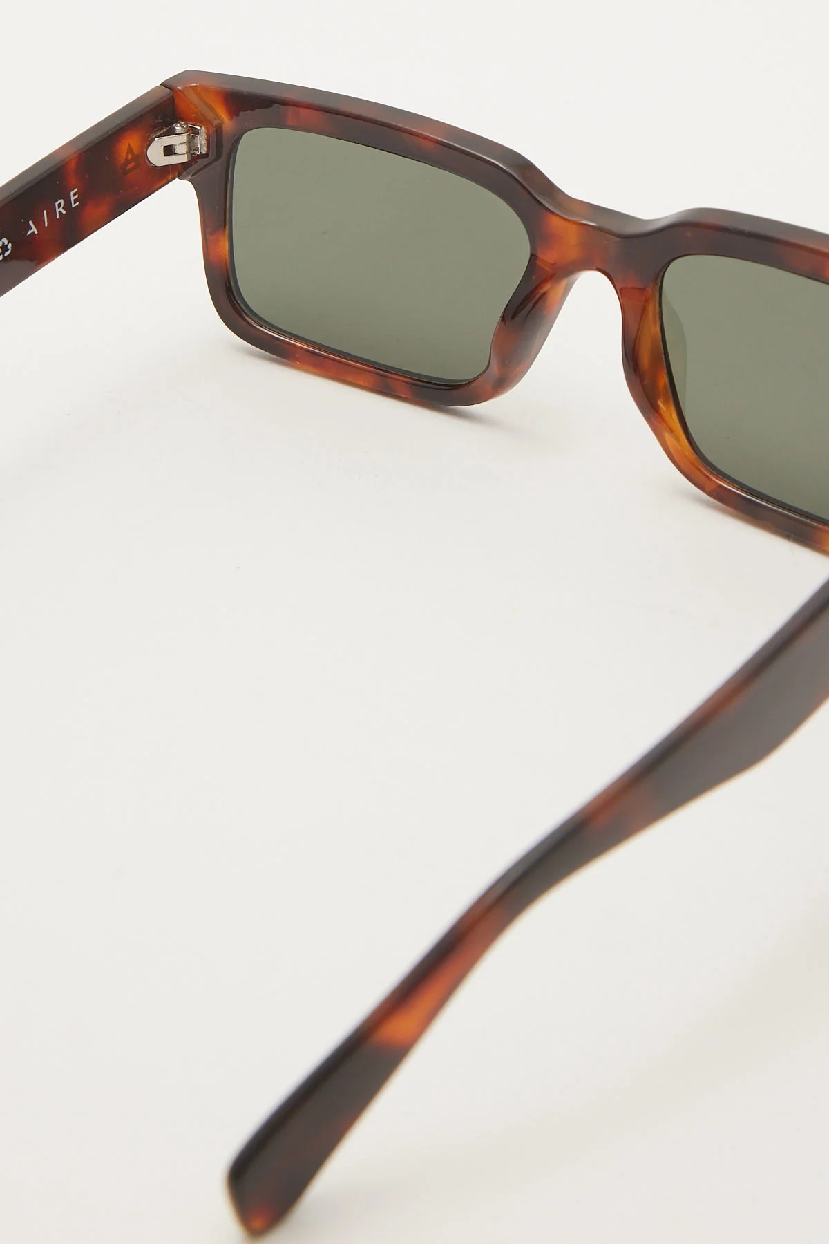 Aire Castor Tortoise - Image 3