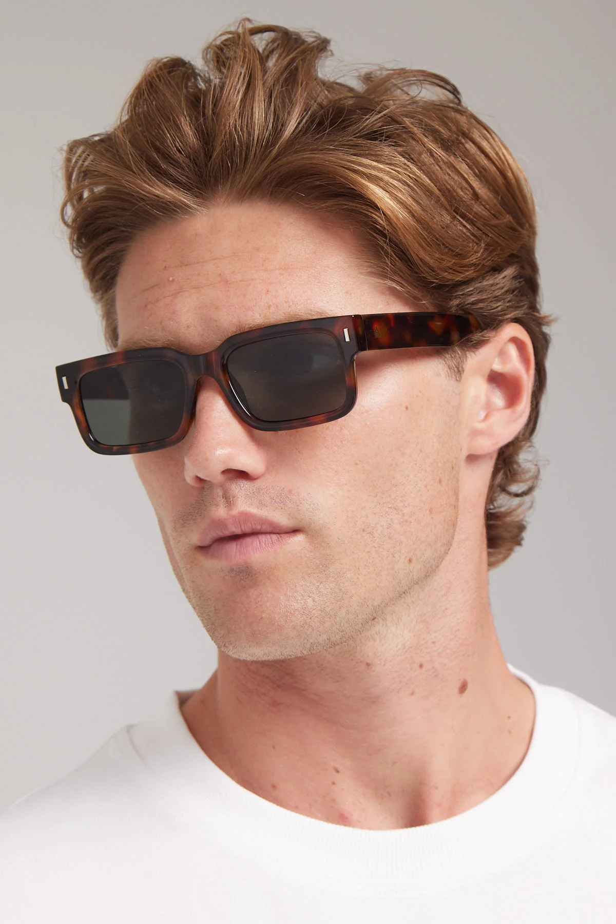 Aire Castor Tortoise - Image 4