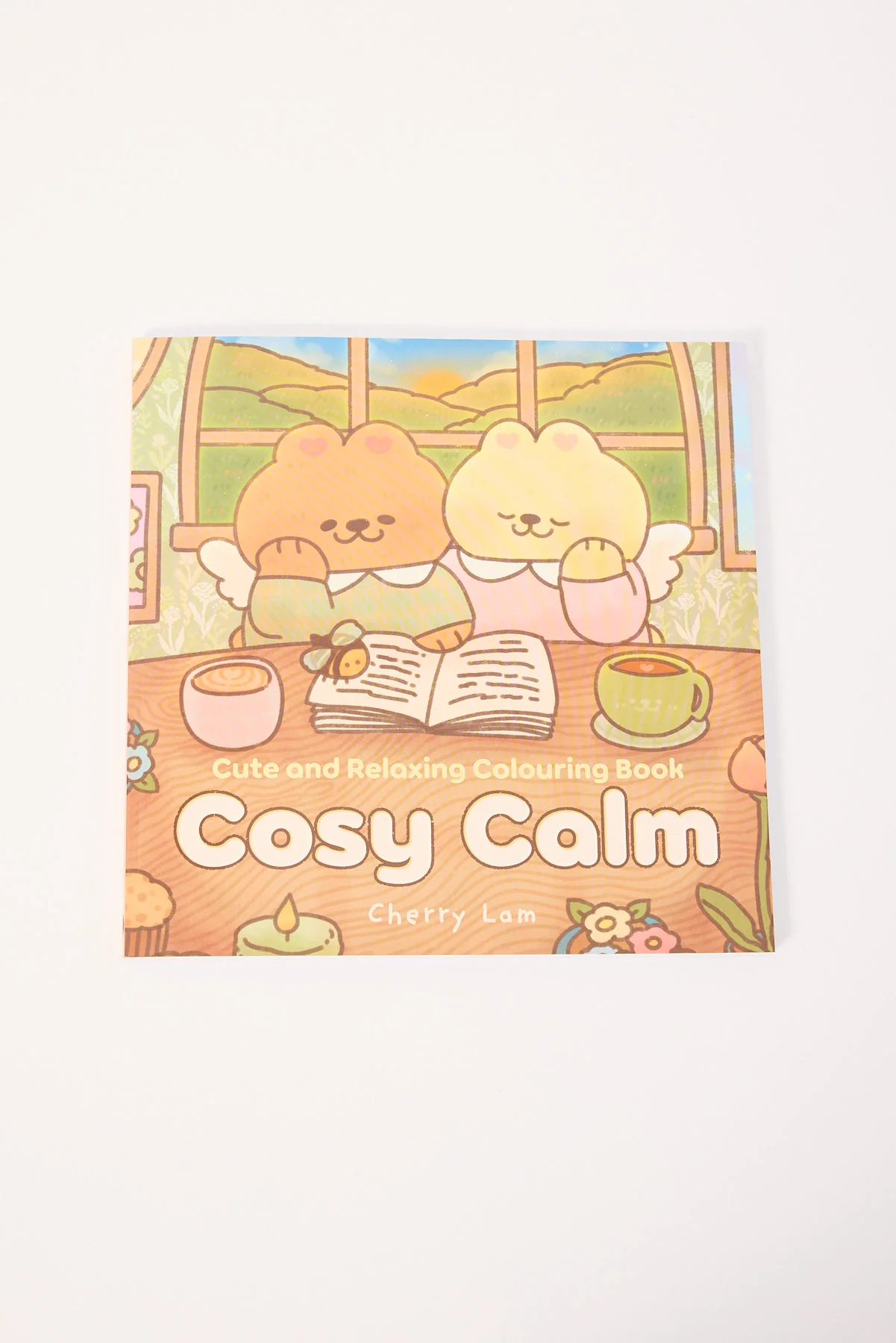 Cosy Calm Cute and Relaxing Colouring Book Multi
