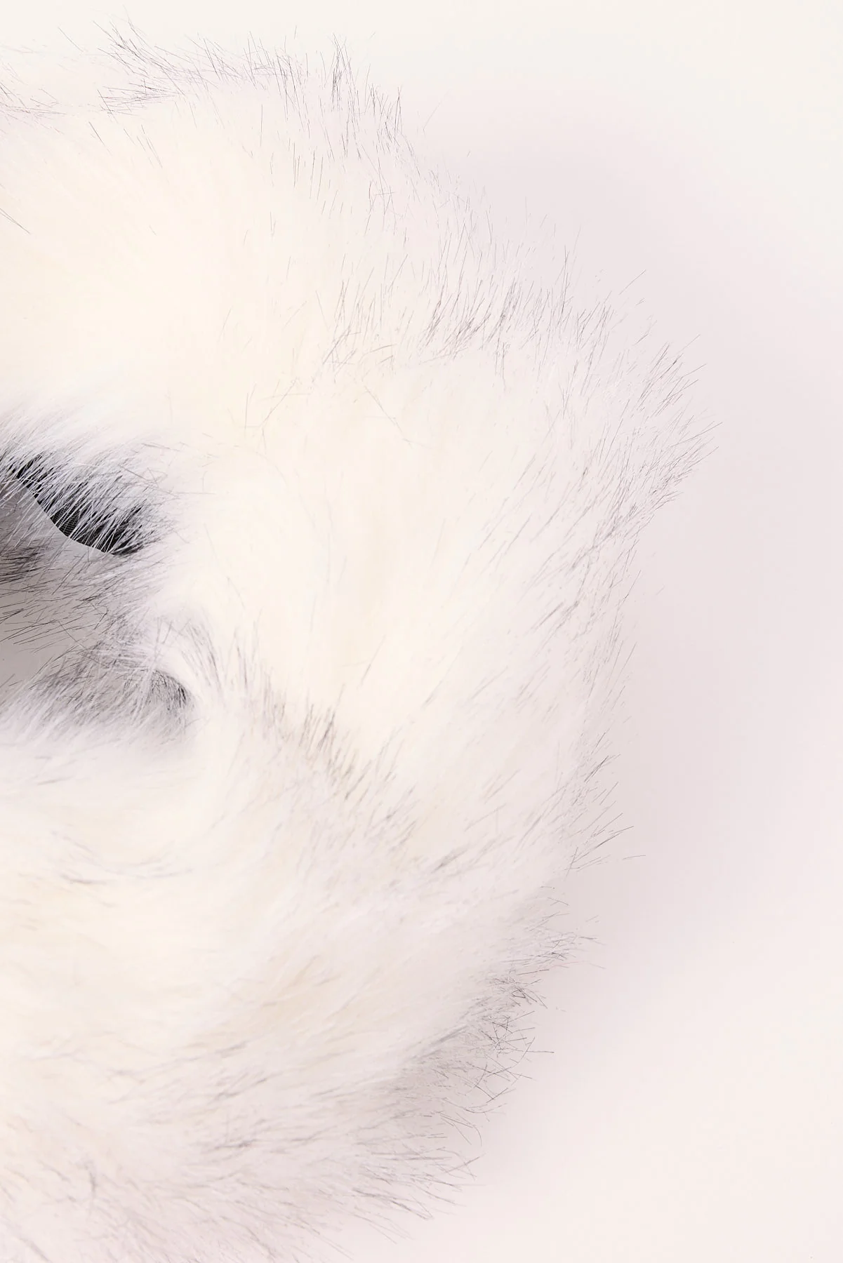 Token Fluffy Faux Fur Headband White - Image 3