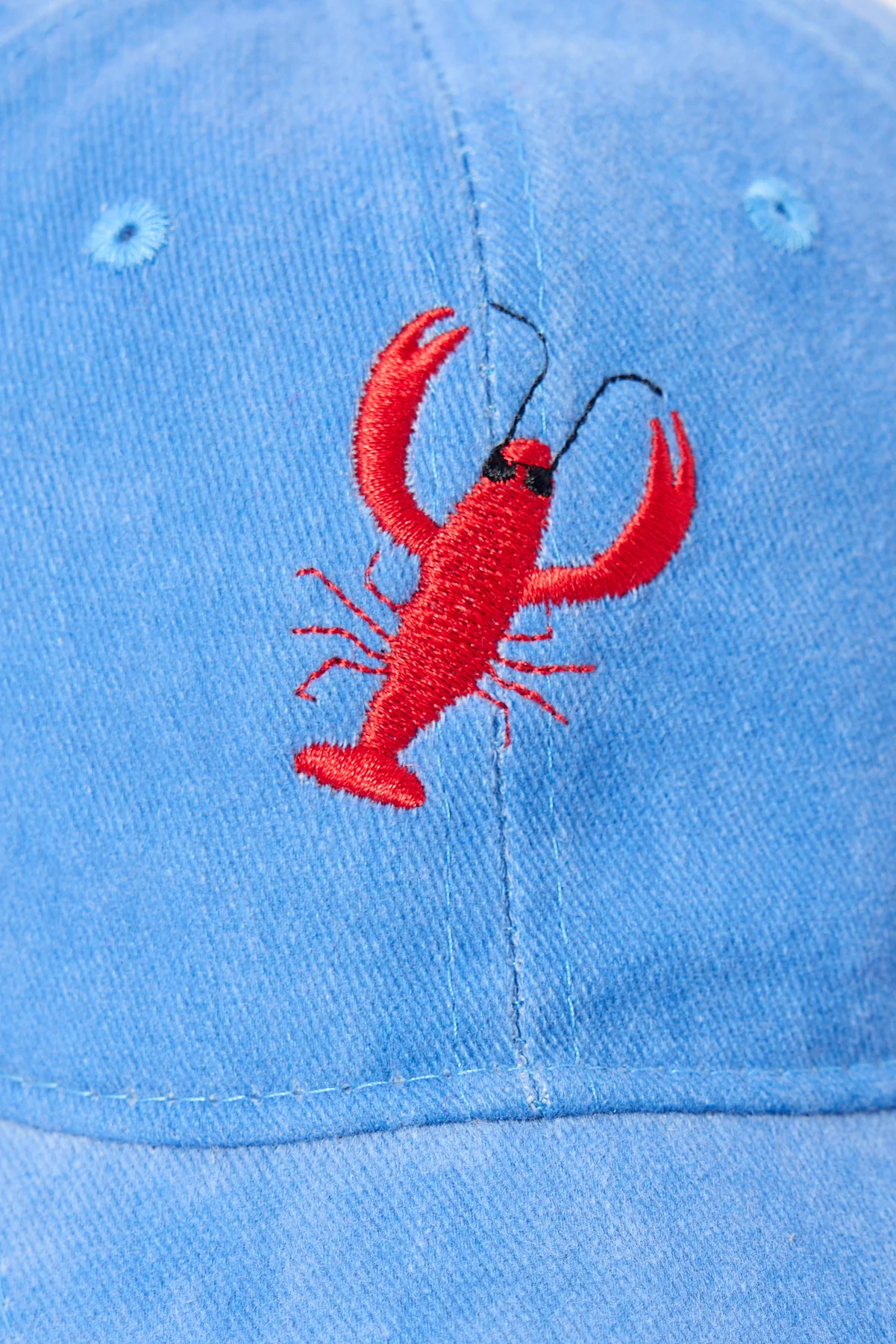 Token Larry Lobster Dad Cap Washed Blue - Image 2