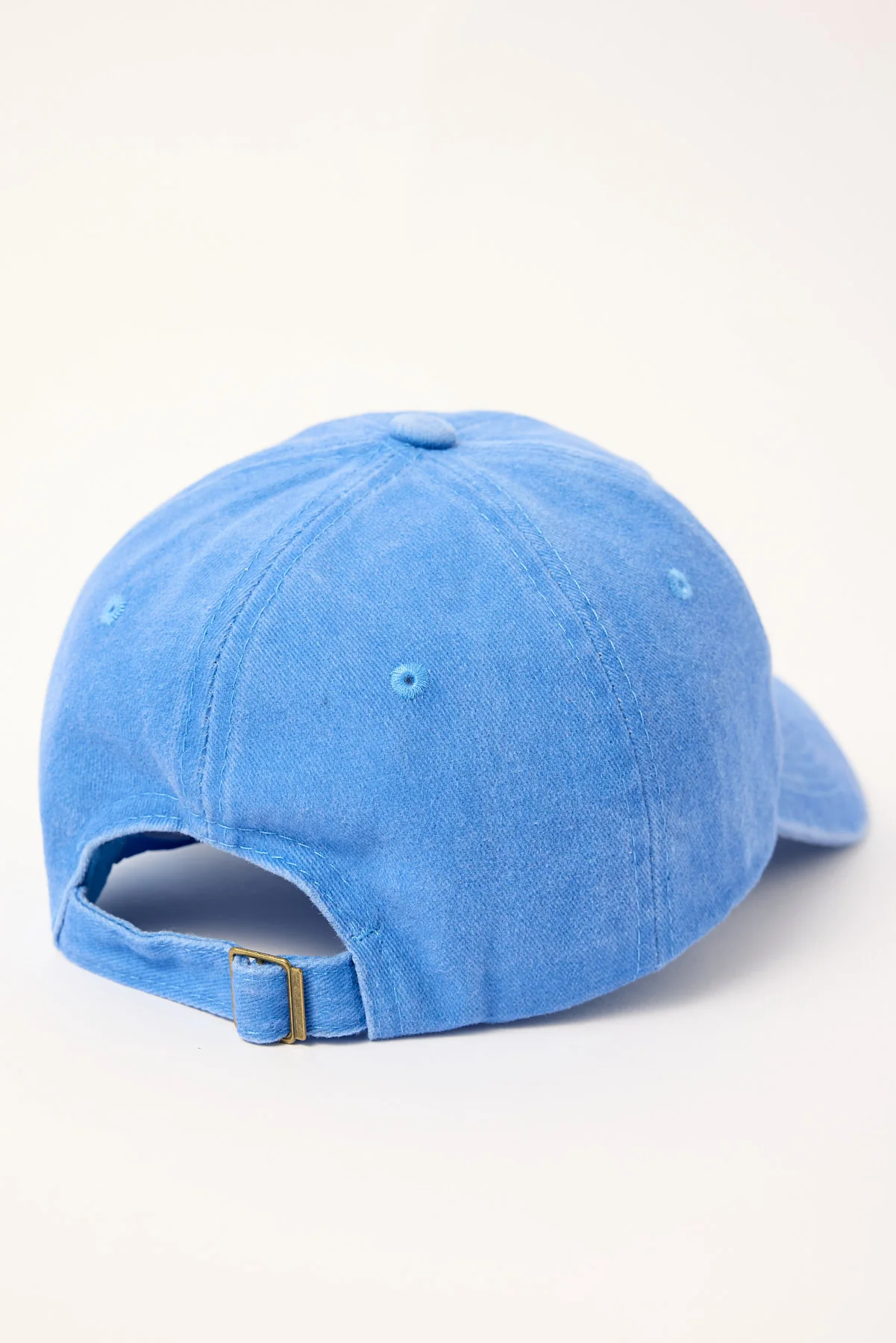 Token Larry Lobster Dad Cap Washed Blue - Image 4