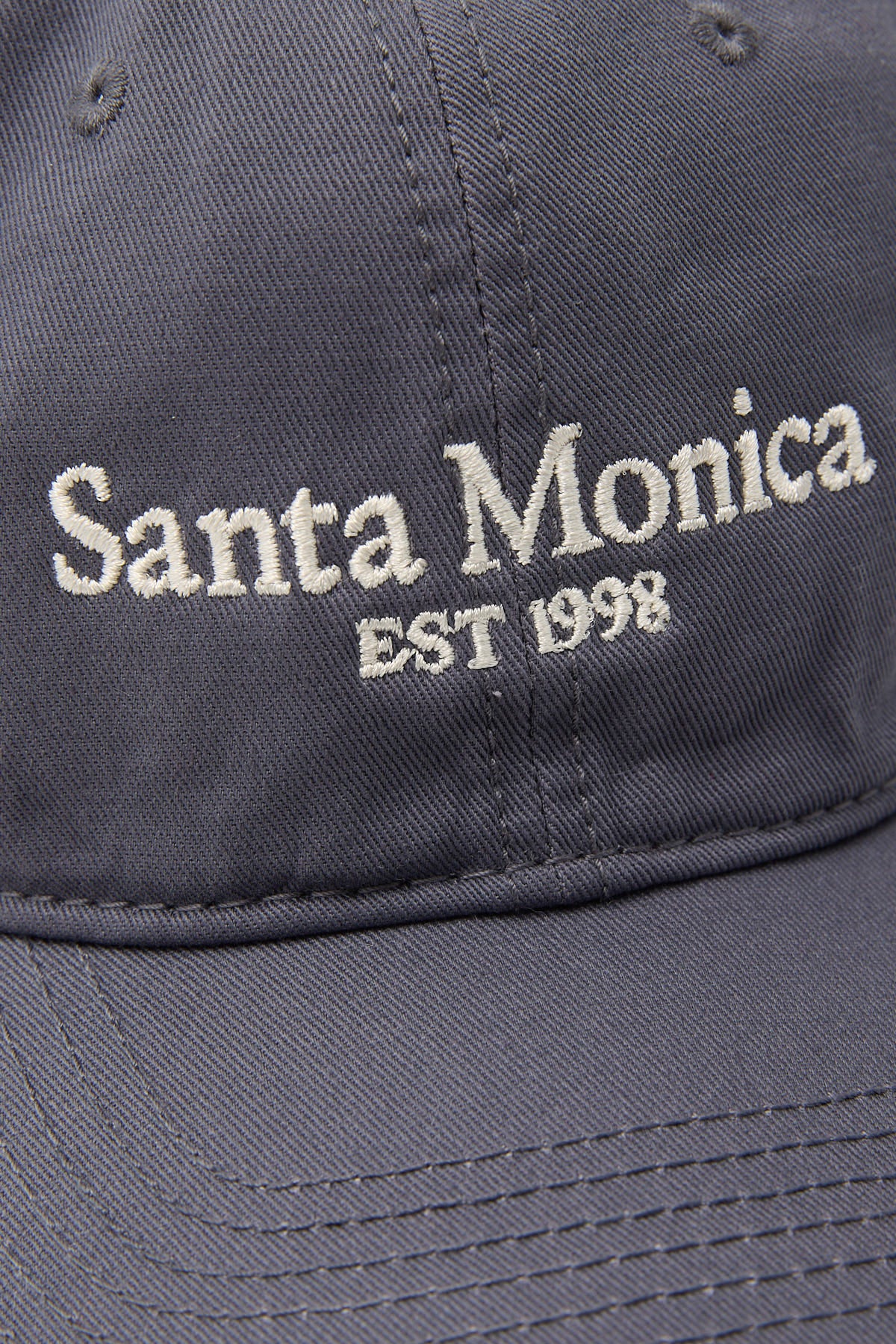Token Santa Monica Dad Cap Charcoal - Image 2